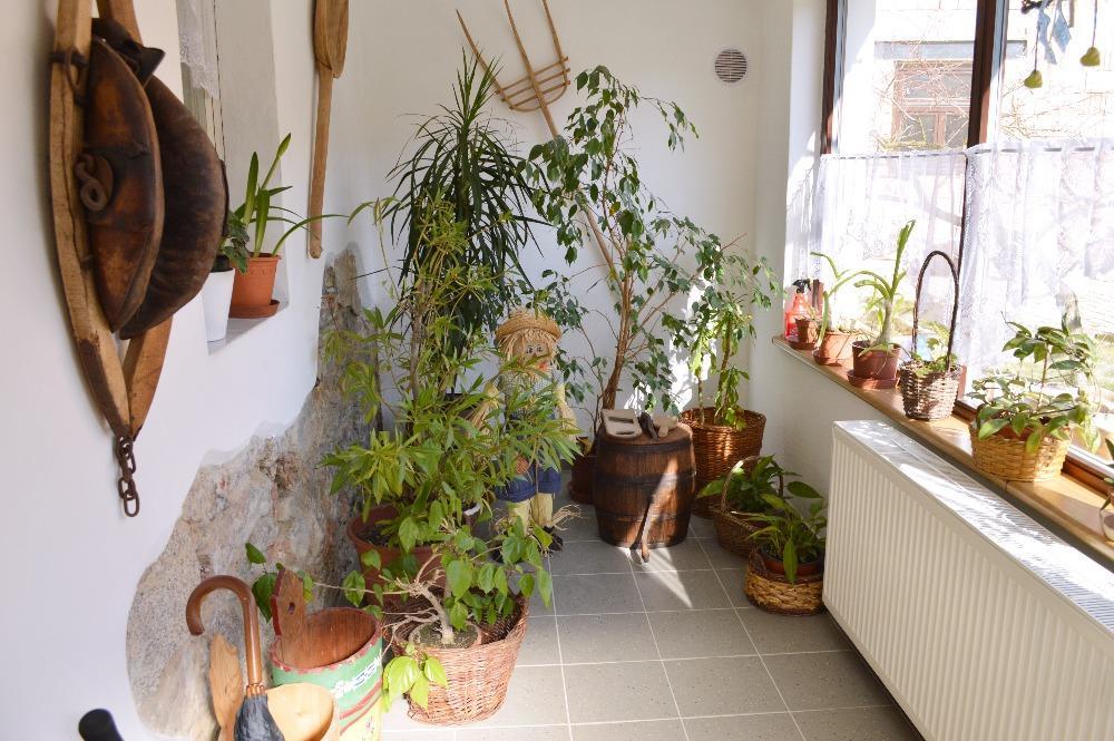 U Slunecne Brany Františkovy Lázně Exterior foto
